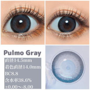 Secret CandyMagic 1day Pulmo Gray シークレットキャンディーマジックワンデー プルモグレー